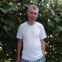 ����, 43 ����, �������