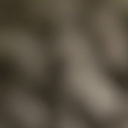 Hassan, ��������, 29 ���