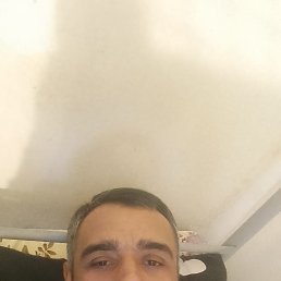 , 42, 