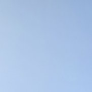 ������, 35 ���, ������