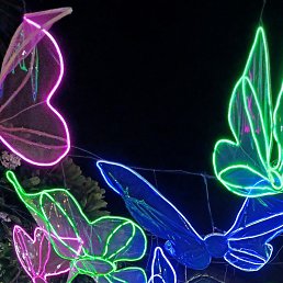 V, ������, 53 ����