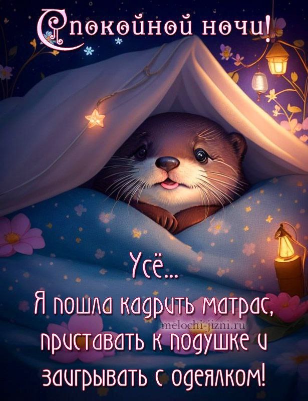   ,    . - 7  2025  21:51