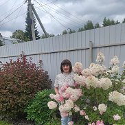 , 65 , 