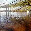 ���� �������, ������, 44 ���� - ��������� 19 ������� 2025 � ������ ���� ����������