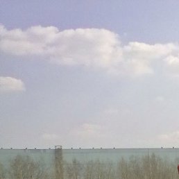 ������, ����������, 39 ���