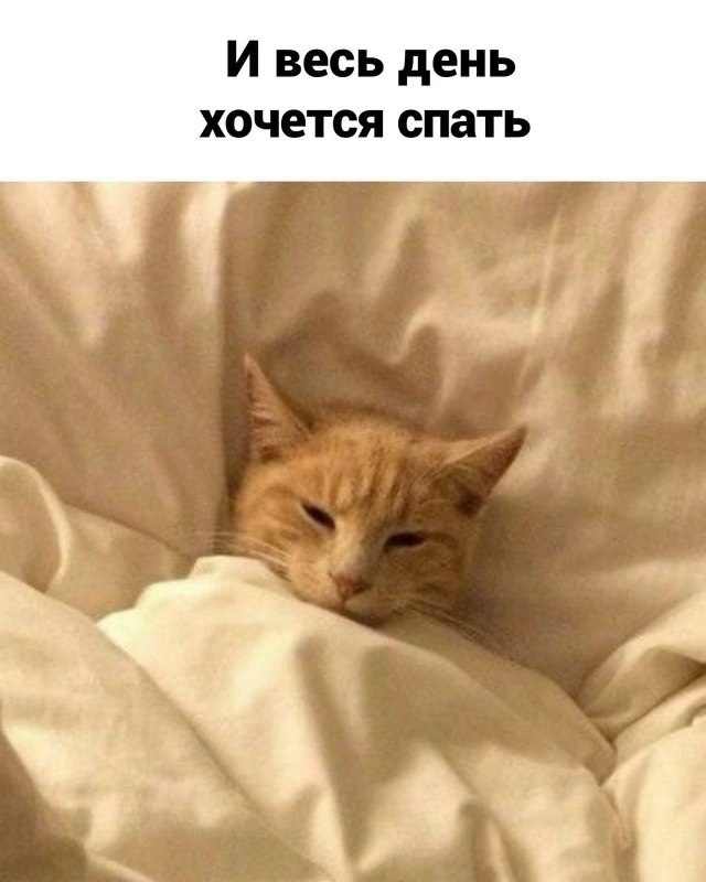 . - 21  2025  14:28 - 4