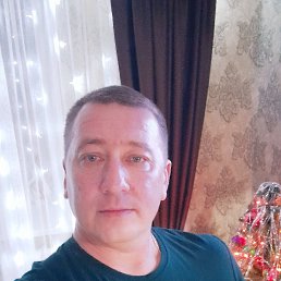 ���� ϸ��, ������, 43 ���� - ��������� 16 ����� 2026