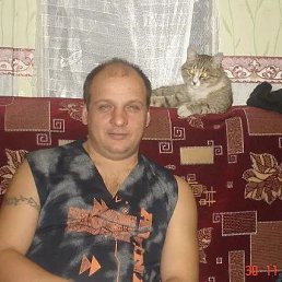 , 54, 