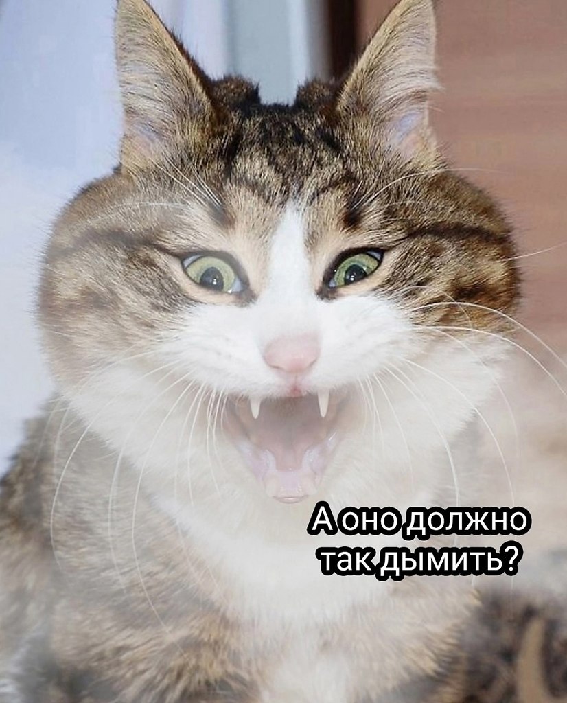 Когда съехал от родителей - 5