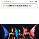 ���� ��������, ������, 41 ��� - ��������� 2 ������ 2026 � ������ ���� ����������