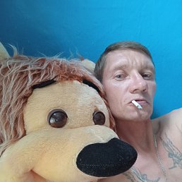 , 39, 