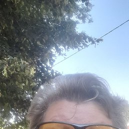 ������, ������, 66 ���