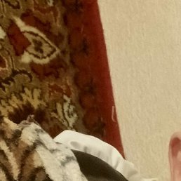 ��������, ������, 62 ����