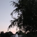 ���� ����, ������, 30 ��� - ��������� 20 ���� 2026 � ������ ���� ����������