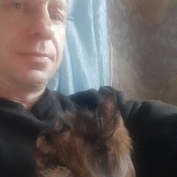 �������, ���������, 48 ���