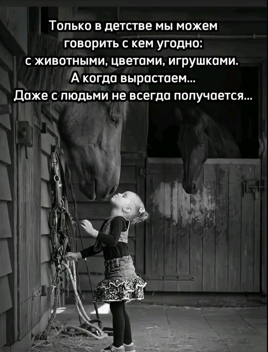 ***Victoria Viktorovna*** - 24  2025  05:13