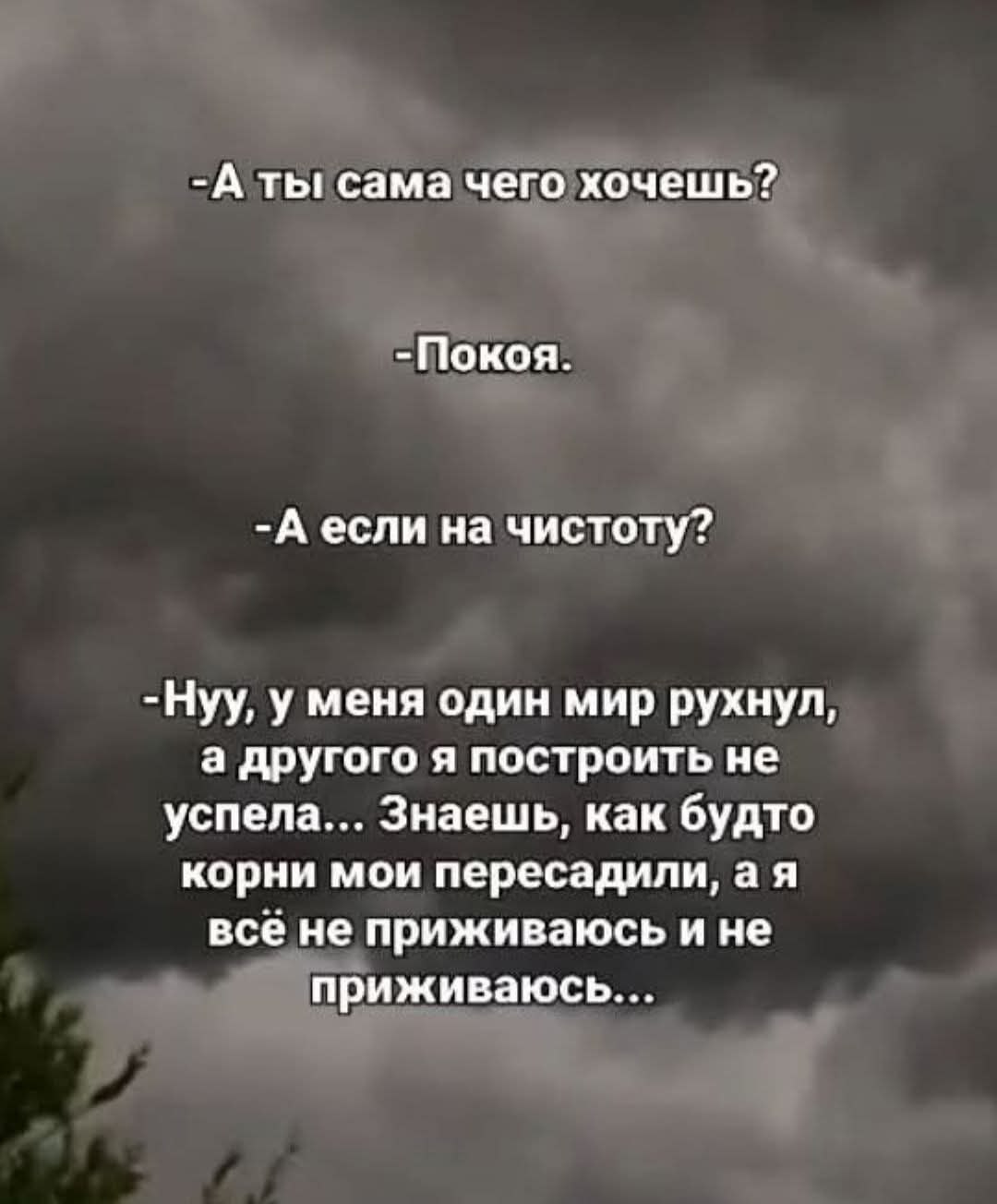 ***Victoria Viktorovna*** - 3  2025  09:33