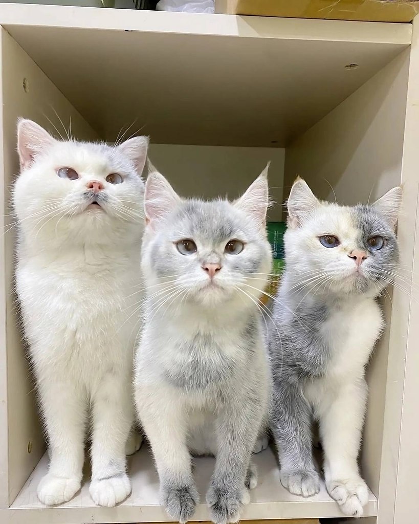 -, -:       ,   , ...