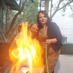 , 41, 
