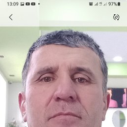 ���� ������, �������, 48 ��� - ��������� 2 ������� 2024