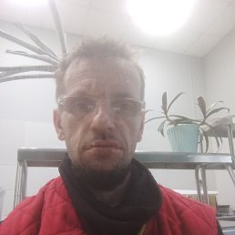 ������, 41 ���, ���������