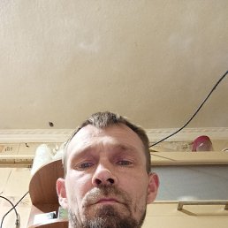 , 40, 