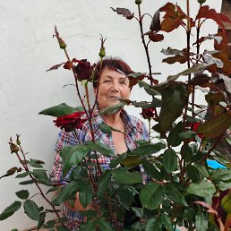 , 59, 