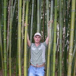 �������, �����, 62 ����