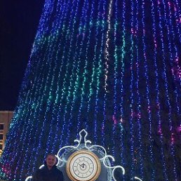 ���� �����, ��������, 34 ���� - ��������� 8 ������� 2026