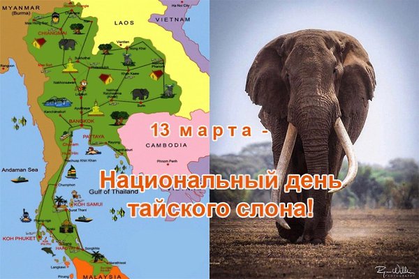 Именины: Марина, Василий, Кира, Николай, Сергей, Арсений, Артём, Маргарита - 3