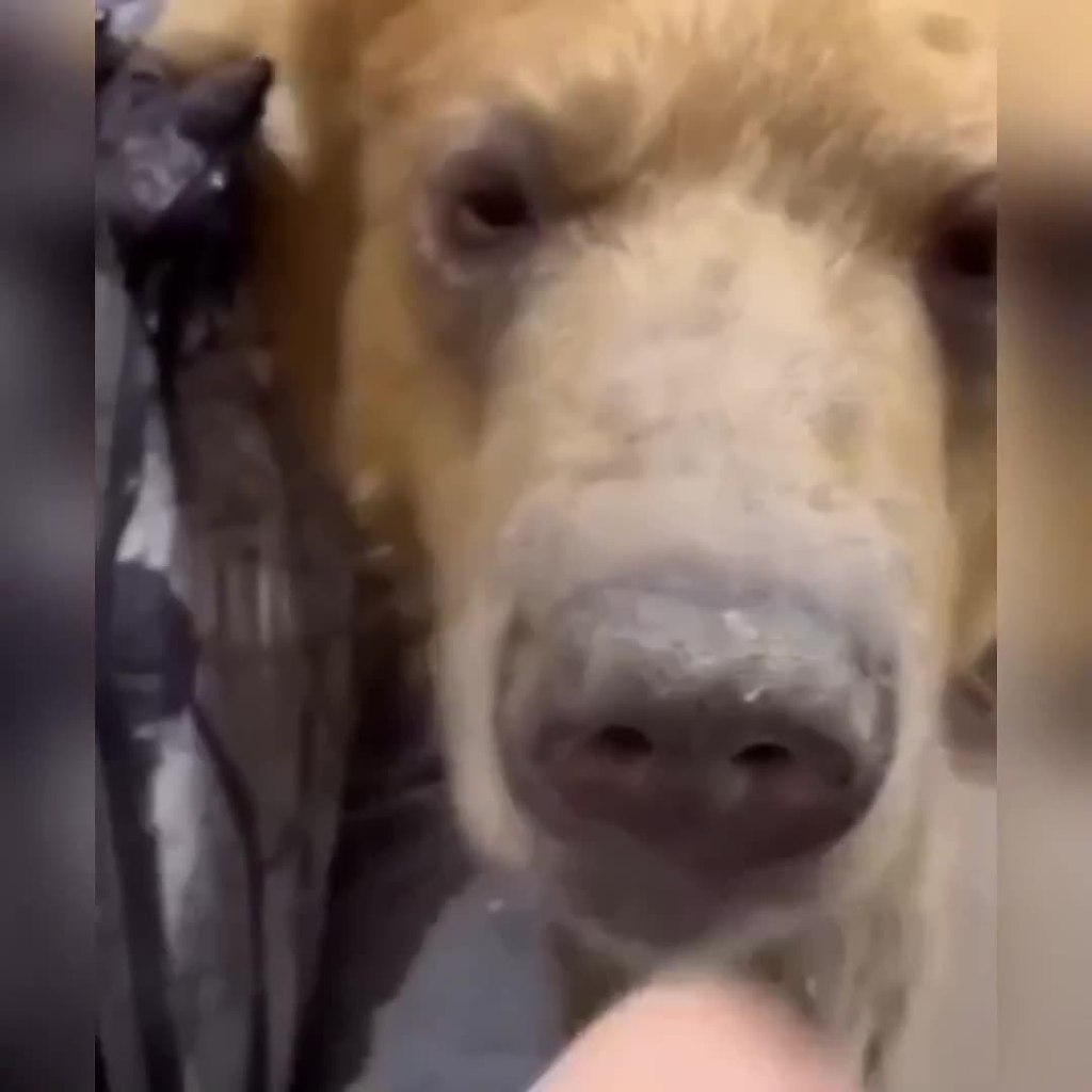 ca aa, a pa o oee 10 e.  - 2