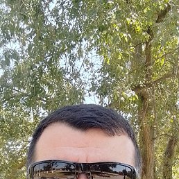 , 29, 