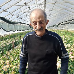 ����� �����, ������, 65 ���