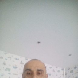 , 35 , 