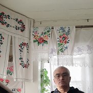 , 61 , 