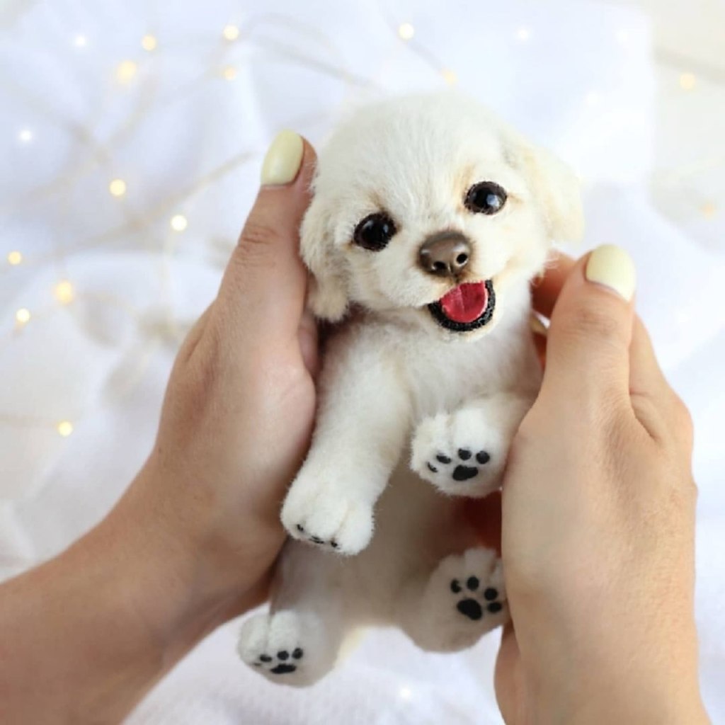 На первый взгляд кажется, что перед нами фотографии настоящих лисичек и щенков. Их выразительные ... - 4