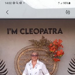 ���� �����, ������, 55 ��� - ��������� 15 ���� 2024