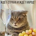  ,  -  13  2025    
