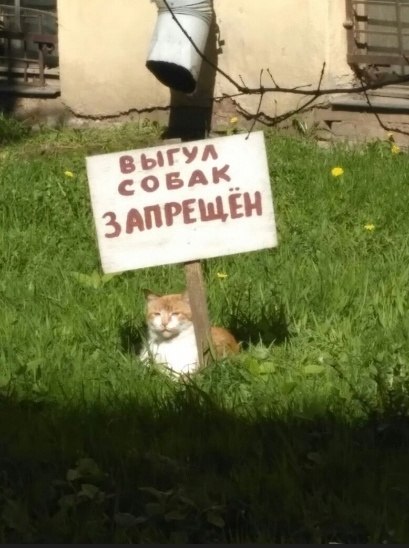   ) - 2