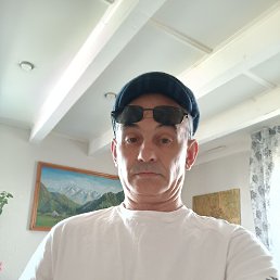 , 53 , 