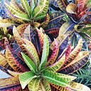 ���� �����, �����, 62 ���� - ��������� 25 ������� 2025 � ������ ���� ����������