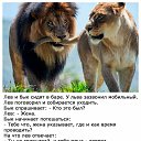 ���� �������, ������ - ��������� 23 ������ 2026 � ������ ������ ��������