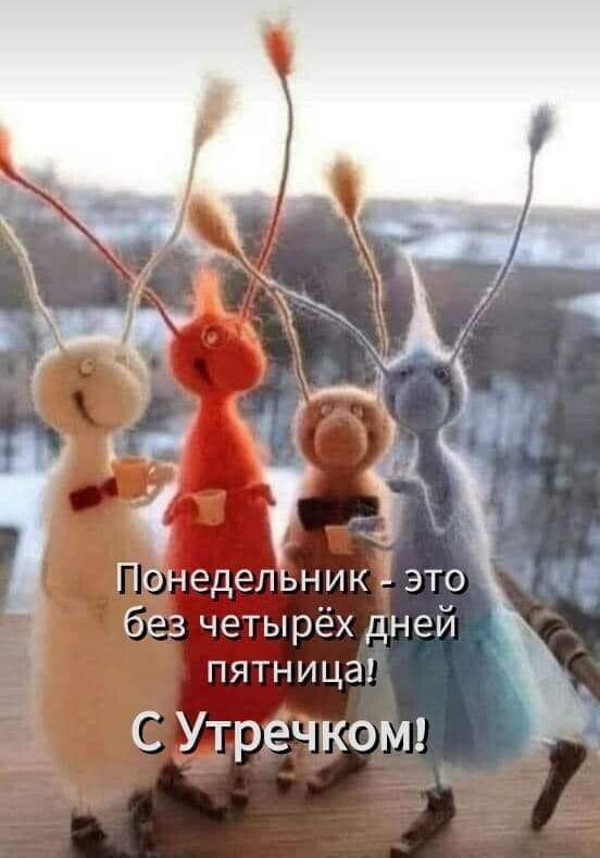 ***Victoria Viktorovna*** - 27  2023  05:42