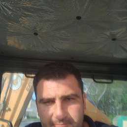 Art, 34, 