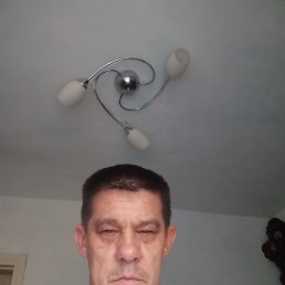 , 50, 