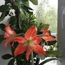 ���� ��������, �����, 68 ��� - ��������� 20 ��� 2025 � ������ ������ ��������