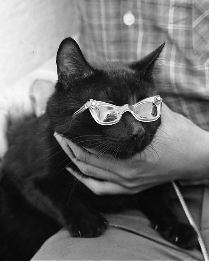  1961           .  150  ... - 9