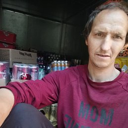 , 33, 