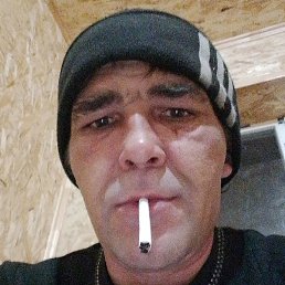 ������, ����, 41 ���