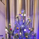 ���� �����, �������, 48 ��� - ��������� 28 ������� 2024 � ������ ���� ����������